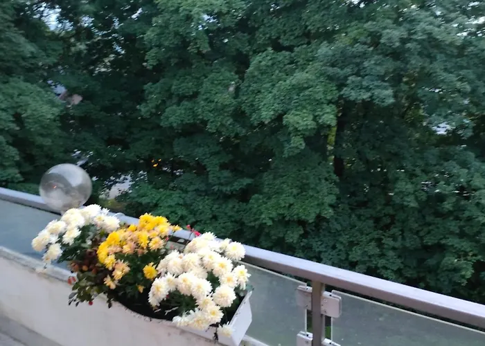 Privat bolig Sonnenschein Am Modezentrum